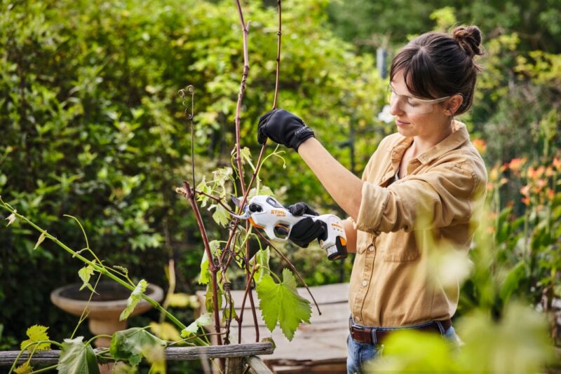 STIHL Astschere ASA 20 Set inkl. Akku AS 2 + Ladegerät AL 1